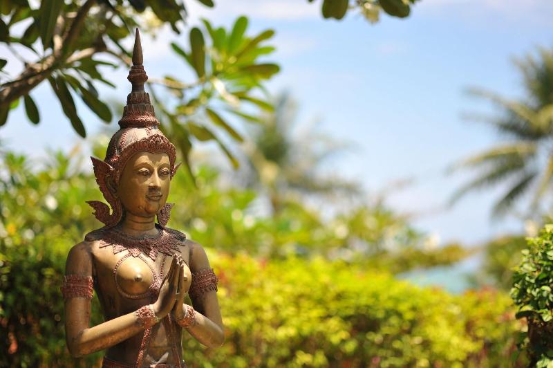 Idyllic Samui - Aktivite