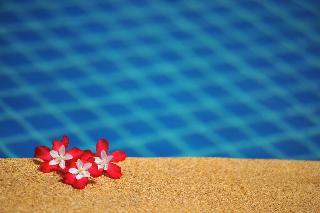 Idyllic Samui fotoÄŸrafÄ±
