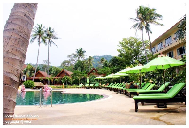 Lotus Paradise Resort - Genel