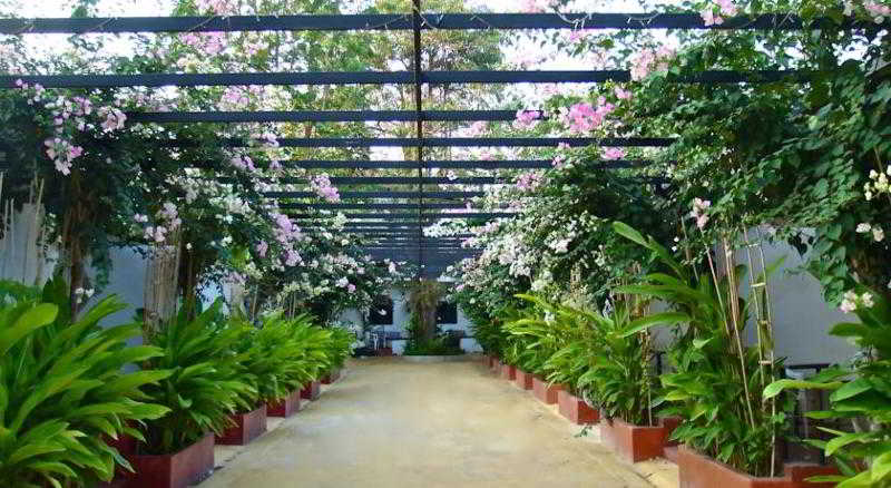 Amara Resort fotoÄŸrafÄ±