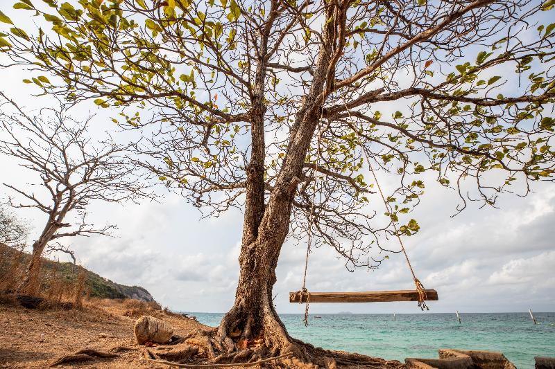 Xanadu Beach Resort - Genel