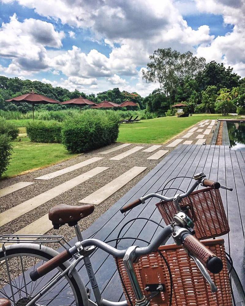 Zensala Riverpark Resort - Aktivite