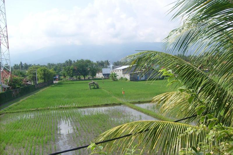 Villa Agung Beach Inn - Genel