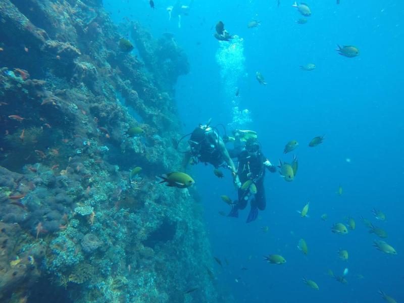Ocean View Dive Resort Tulamben - Genel