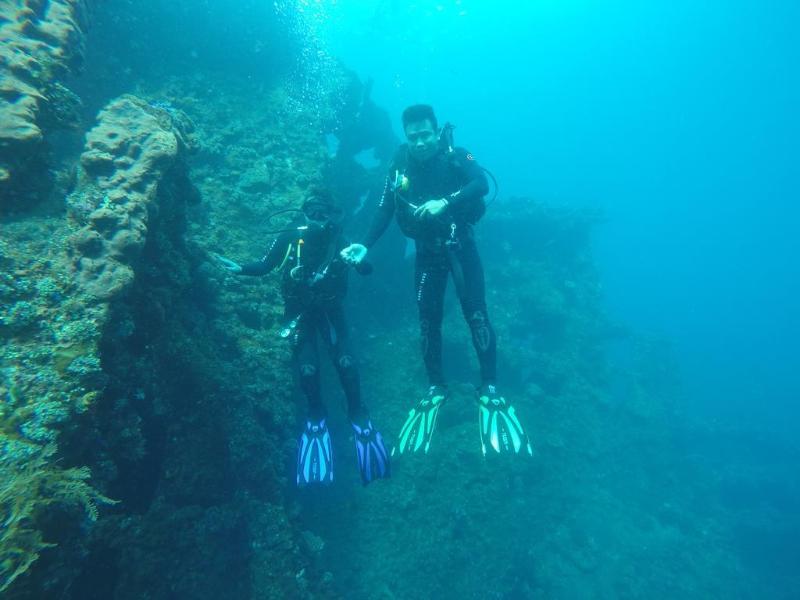 Ocean View Dive Resort Tulamben - Genel
