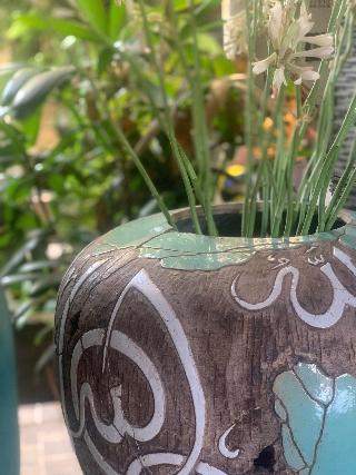 Su'S Cottages Ii fotoÄŸrafÄ±