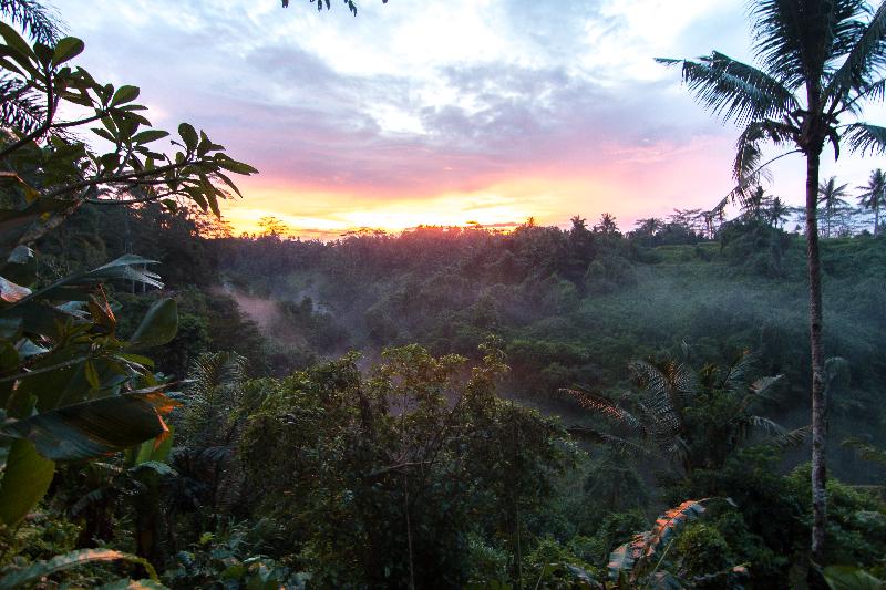 Bidadari Private Villas & Retreat - Genel