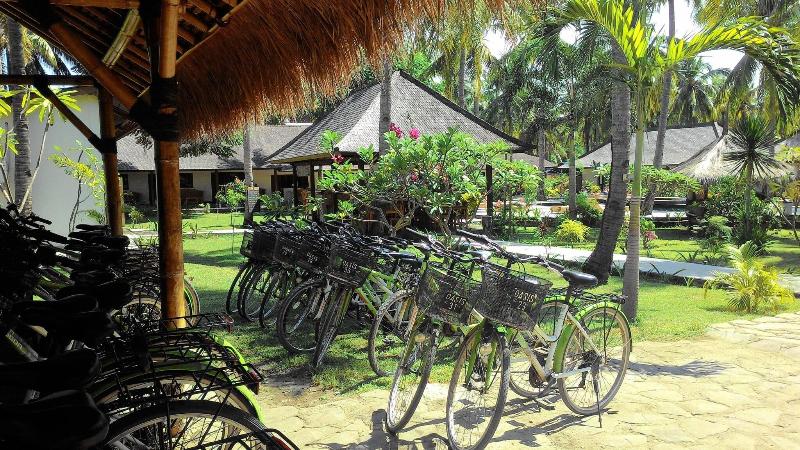 Gili Trawangan Oasis - Aktivite