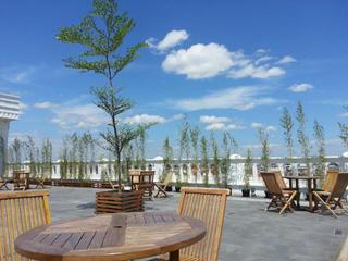 Amarelo Hotel Solo fotoÄŸrafÄ±