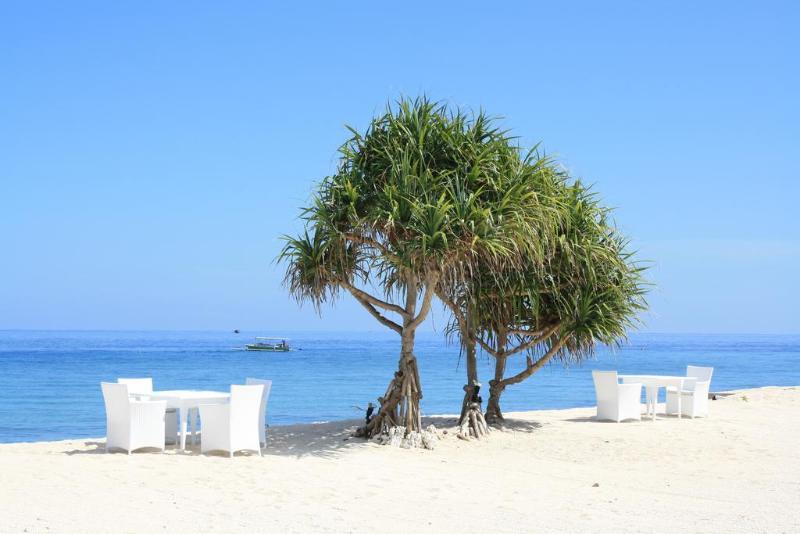 Mahamaya Boutique Resort - Genel