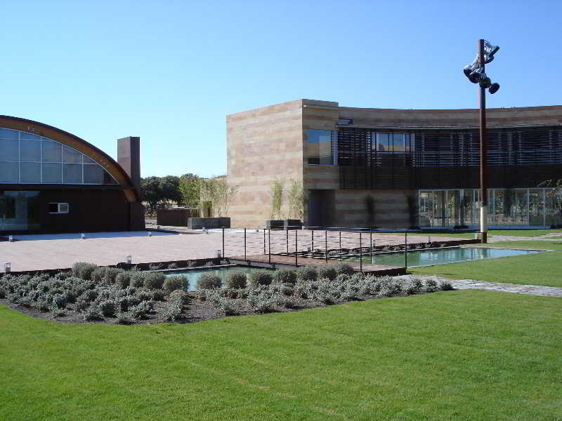 Pago del Vicario - Genel
