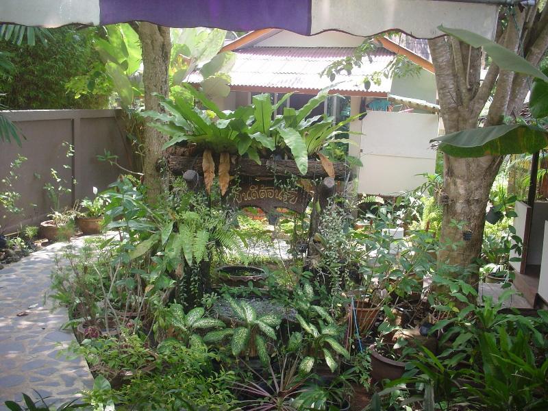 Orchid Resort Bailan - Teras