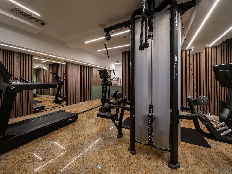 Maritim Hotel Dresden - Aktivite