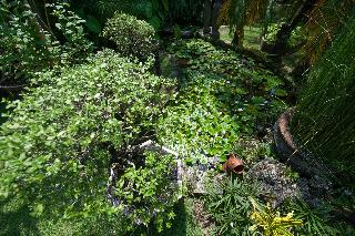 Pondok Agung Home Stay fotoÄŸrafÄ±
