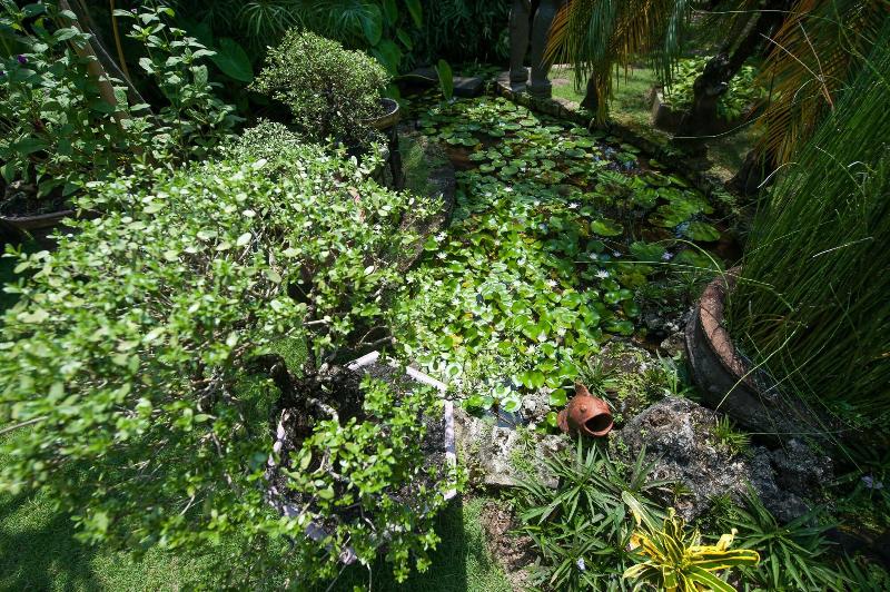 Pondok Agung Home Stay - Genel