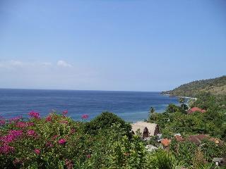 Baliku Dive Resort otel fotoğrafı