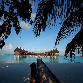 Sun Siyam Olhuveli Maldives otel fotoğrafı