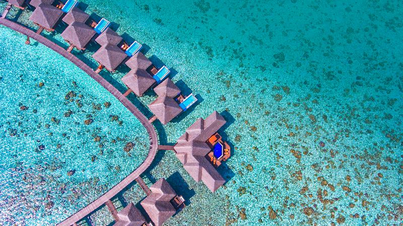 Sun Siyam Vilu Reef Maldives - Genel