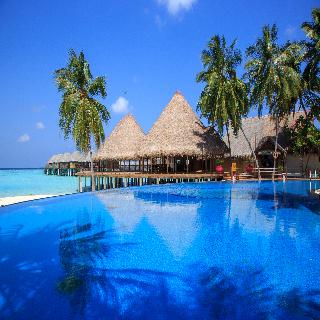 Sun Siyam Vilu Reef Maldives fotoÄŸrafÄ±