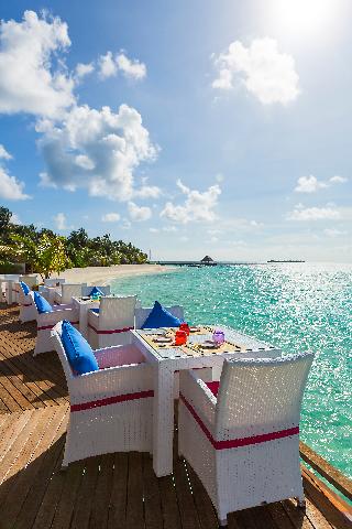 Sun Siyam Vilu Reef Maldives fotoÄŸrafÄ±