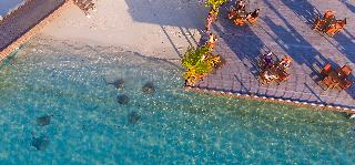 Sun Siyam Vilu Reef Maldives fotoÄŸrafÄ±