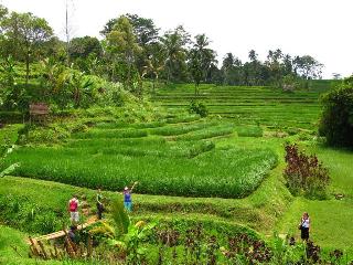 Prana Dewi Mountain Resort fotoÄŸrafÄ±