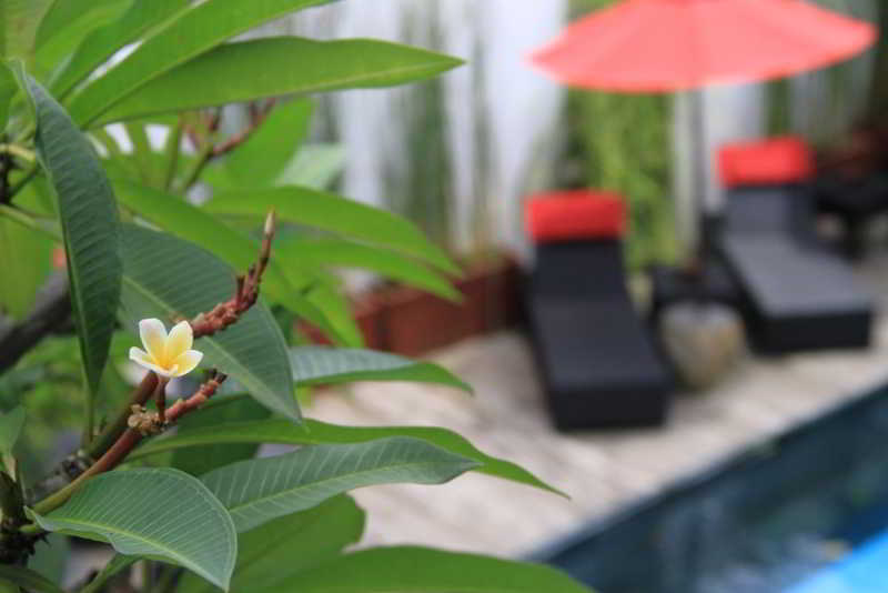 Villa KamarKamar Bali otel fotoğrafı
