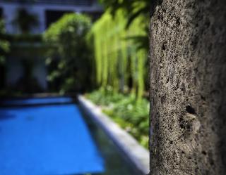 Villa KamarKamar Bali fotoÄŸrafÄ±