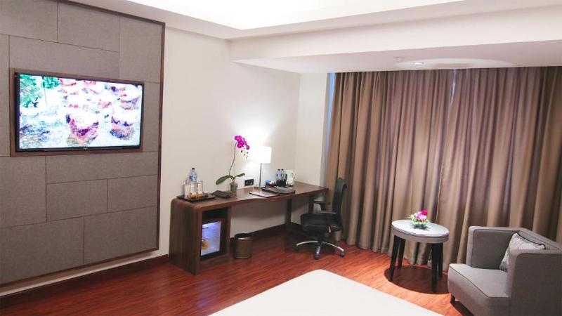 The Arista Hotel Palembang - Oda