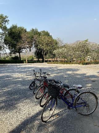 Baanpufa Resort fotoÄŸrafÄ±