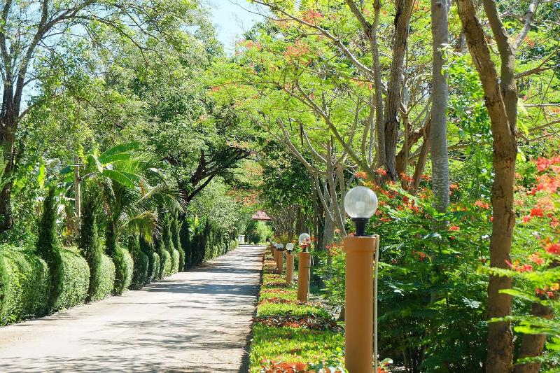 Baanpufa Resort - Teras