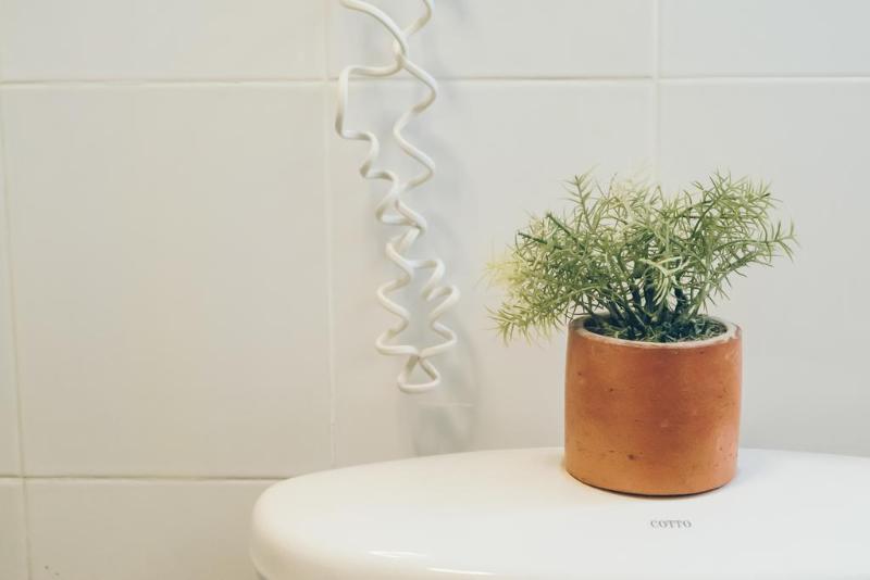 Green Gallery Bed  Breakfast - Genel