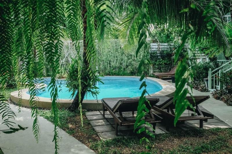 Green Gallery Bed  Breakfast - Havuz