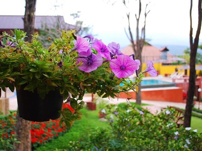 Insda Wellness Resort by ZUZU - Genel