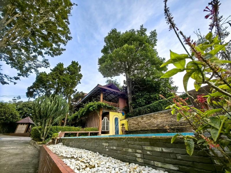 Insda Wellness Resort by ZUZU - Genel