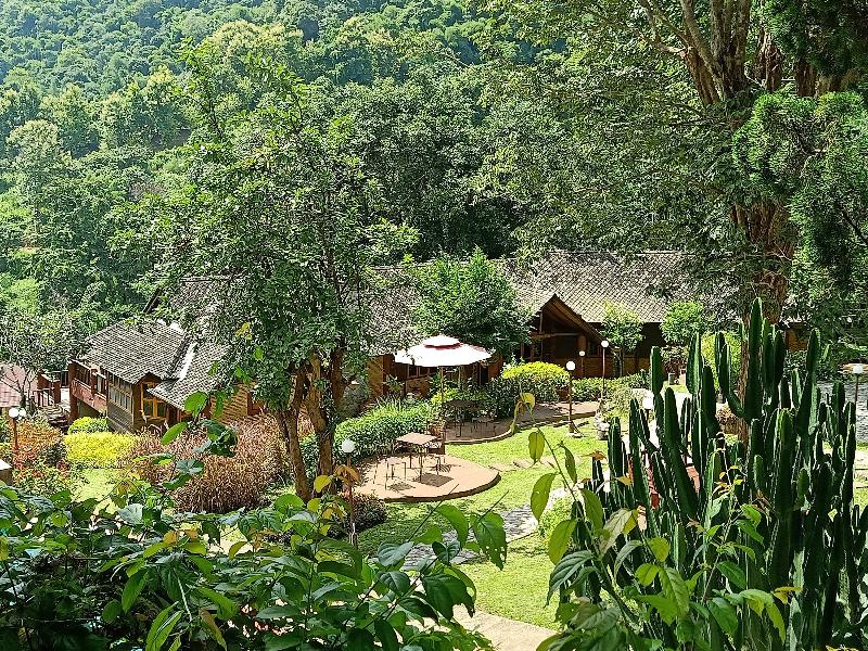 Insda Wellness Resort by ZUZU - Genel
