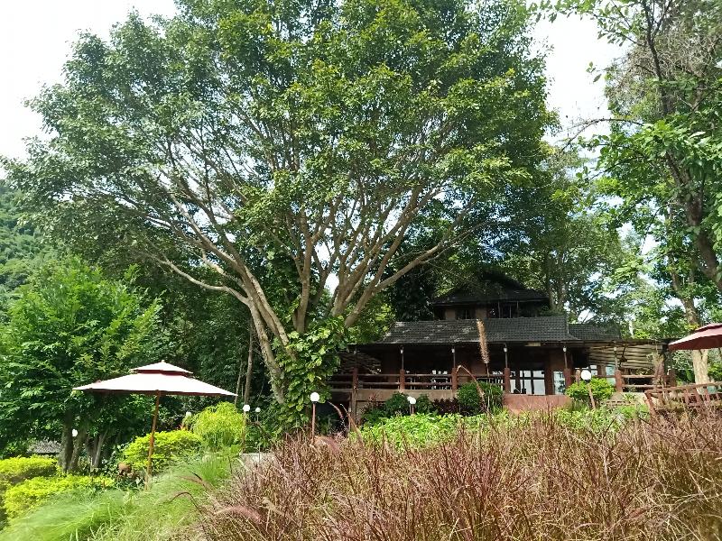 Insda Wellness Resort by ZUZU - Genel