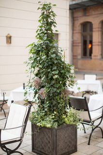 monbijou hotel fotoÄŸrafÄ±