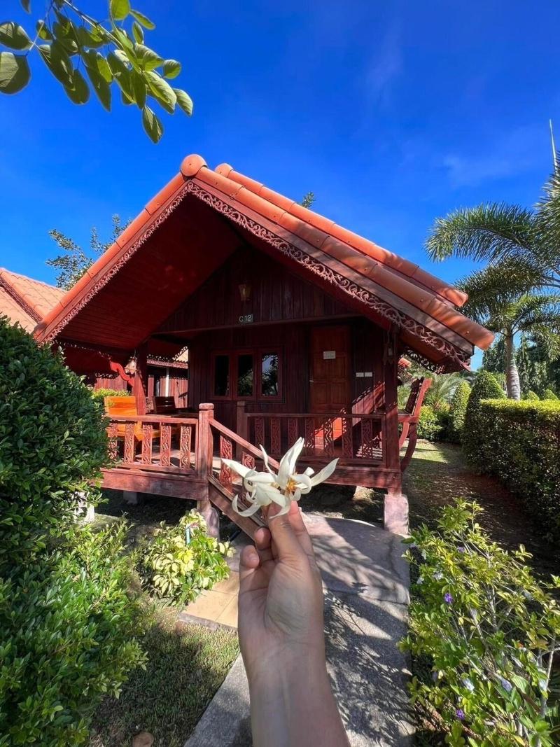 Diamond Beach Resort - Genel