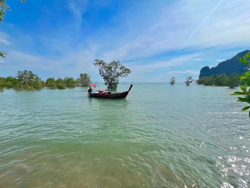 Diamond Beach Resort - Genel