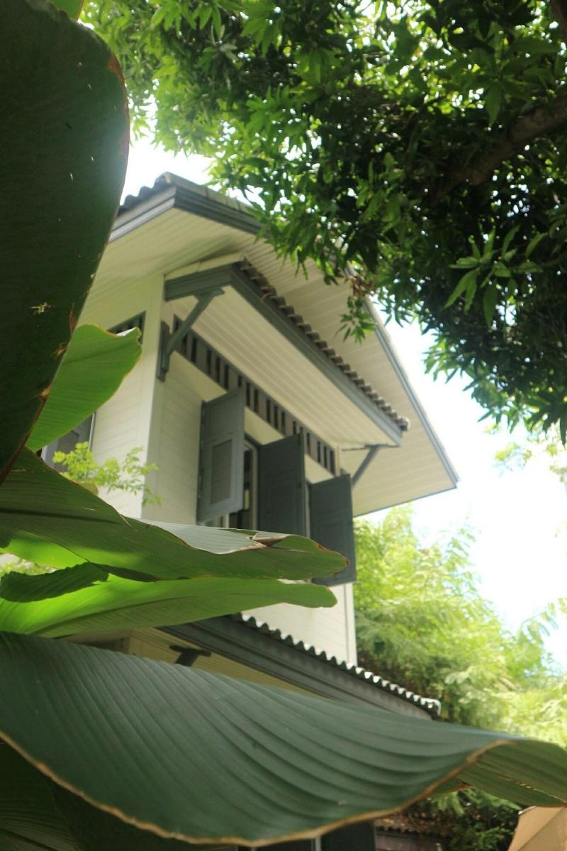 Baan Noppawong - Genel