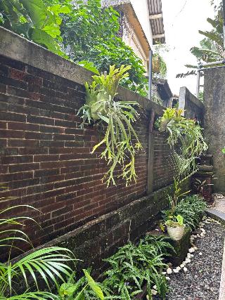 Adi Jaya Cottages Jungle Suites By Eps fotoÄŸrafÄ±