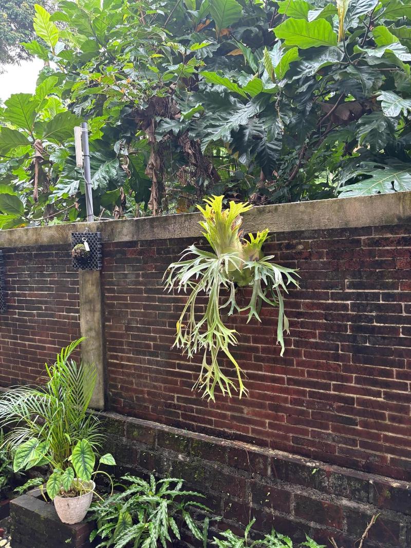 Adi Jaya Cottages Jungle Suites By Eps - Genel