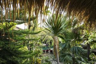 Adi Jaya Cottages Jungle Suites By Eps fotoÄŸrafÄ±