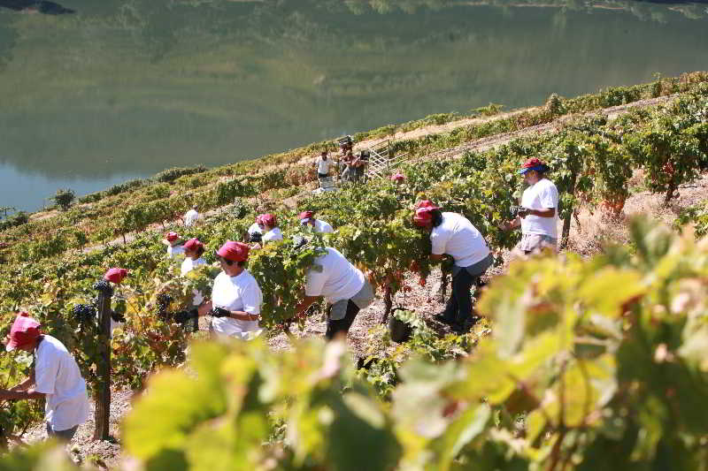 Quinta Nova Winery House – Relais & Châteaux fotoÄŸrafÄ±
