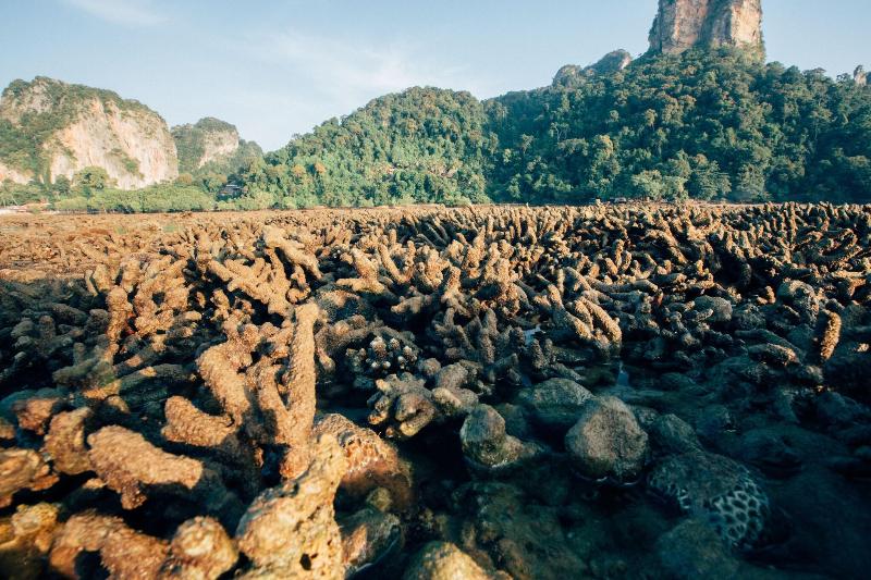 Railay Garden View Resort - Plaj