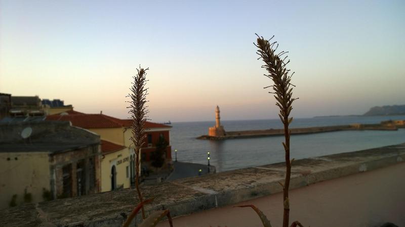 Amphora - Genel