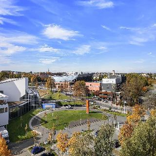 Central fotoÄŸrafÄ±