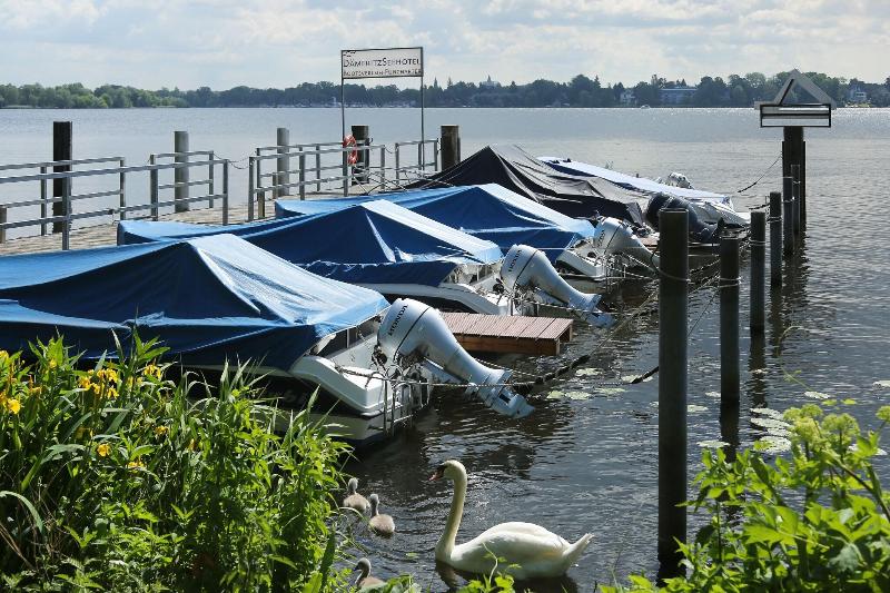 Dämeritz Seehotel - Teras