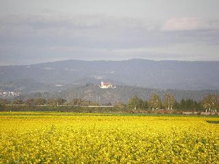 Murrer fotoÄŸrafÄ±